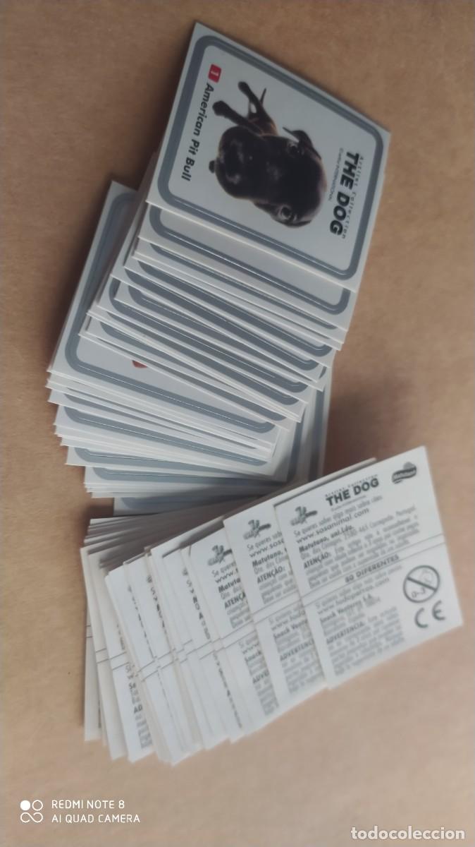 Coleccionismo deportivo: CROMOS ALBUM THE DOG CHEETOS CHIPICAO VER LISTADO -N2