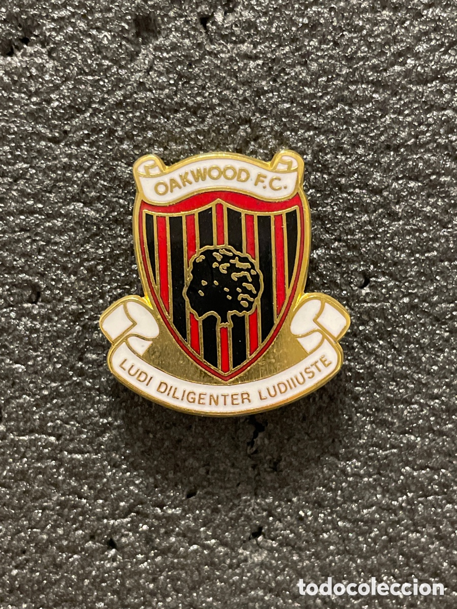 Coleccionismo deportivo: Pin 206 OAKWOOD F.C. - Crawley