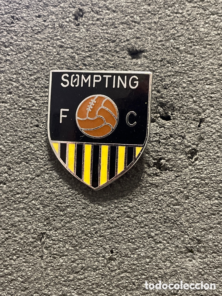 Coleccionismo deportivo: Pin 317 SOMPTING F.C. - West Sussex