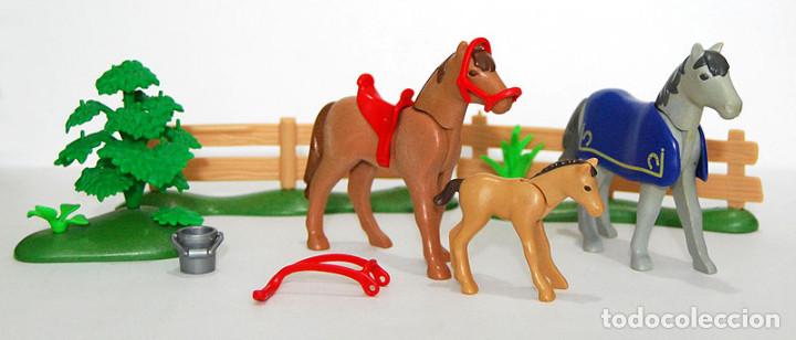 Playmobil: Playmobil Prado con potros Ref. 4188