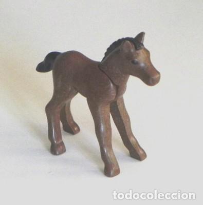 Playmobil: POTRO DE PLAYMOBIL - MARR&Oacute;N - JUGUETE - CR&Iacute;A DE CABALLO - ANIMAL FAUNA - EN BUEN ESTADO - click clic