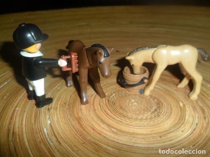 Playmobil: PLAYMOBIL - CUIDADOS ECUESTRES - HIPICA - NI&Ntilde;A CUIDANDO POTROS - CABALLOS