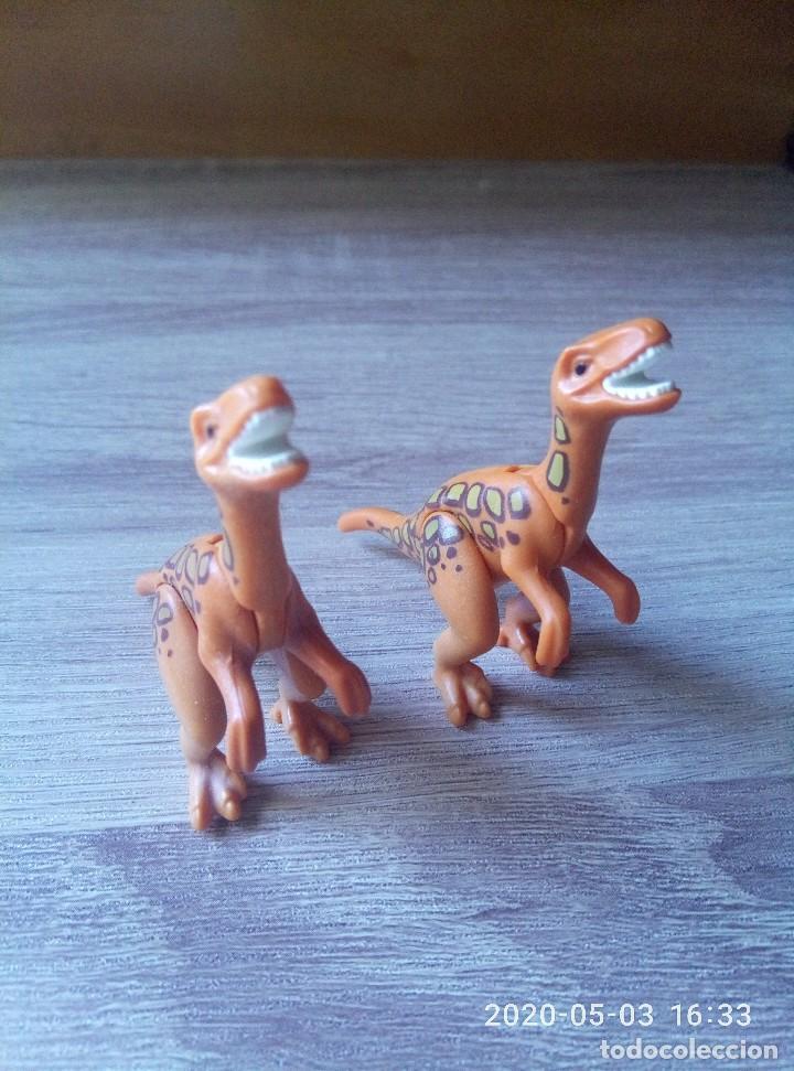 Playmobil: Dinosaurios crias de velocirraptor en perfecto estado