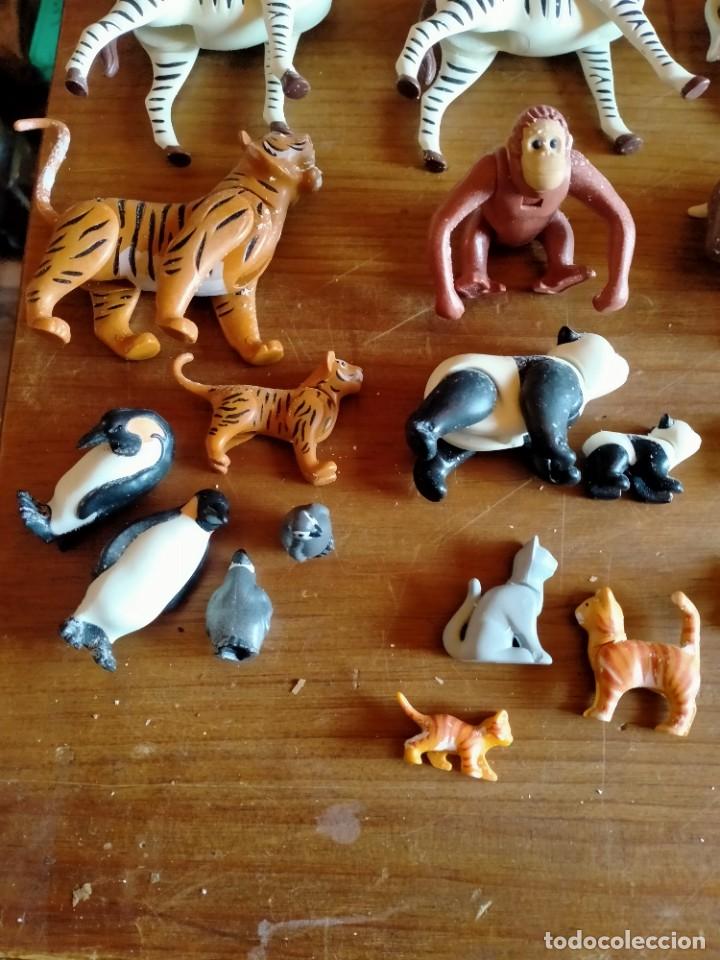 Playmobil: PLAYMOBIL ANIMALES - Foto 3