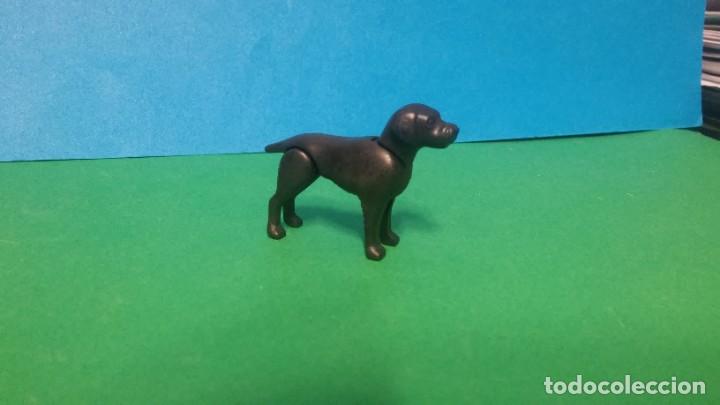 Playmobil: PLAYMOBIL LOT PERRO ANIMALES VACACIONES FAMILIA GRANJA MONTA&Ntilde;A CAMPO CITY LOTE KG
