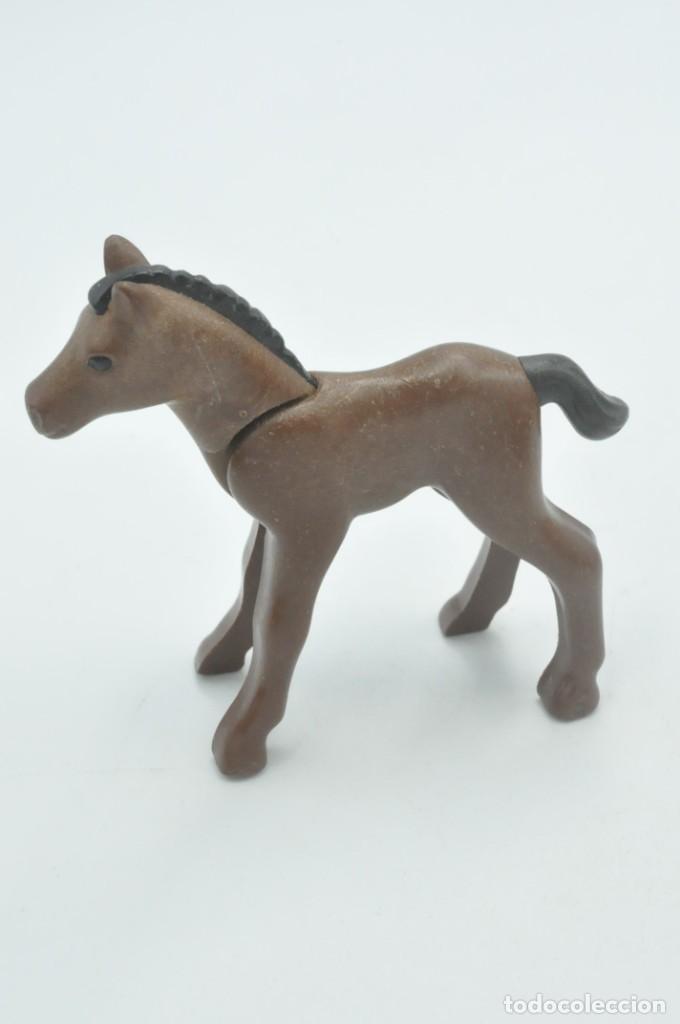 Playmobil: CJ0804 Playmobil, potro caballo