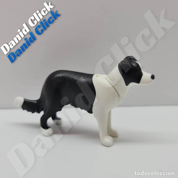 Playmobil: PLAYMOBIL PERRO BORDER COLLIE - Foto 1