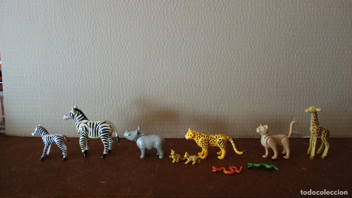 Playmobil: Casa Safari playmobil - Foto 4