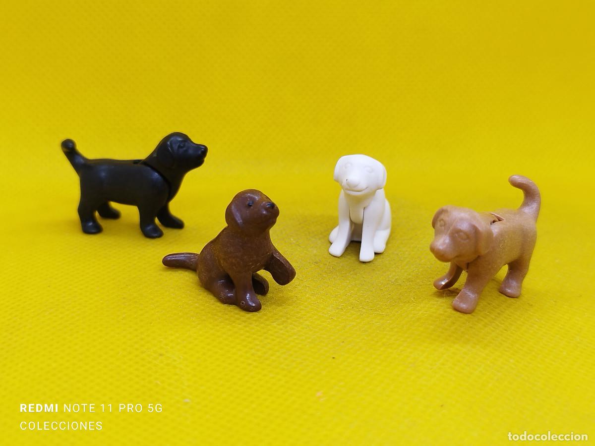 Playmobil: Playmobil Lote de cachorros, grupo de perros