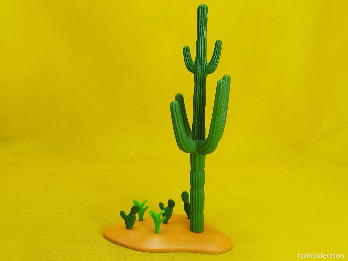 wurzelfäule kaktus Tephrocactus strobiliformis (Kiefernzapfen-Kaktus) – Secret Garden Plant  Shop main image 0