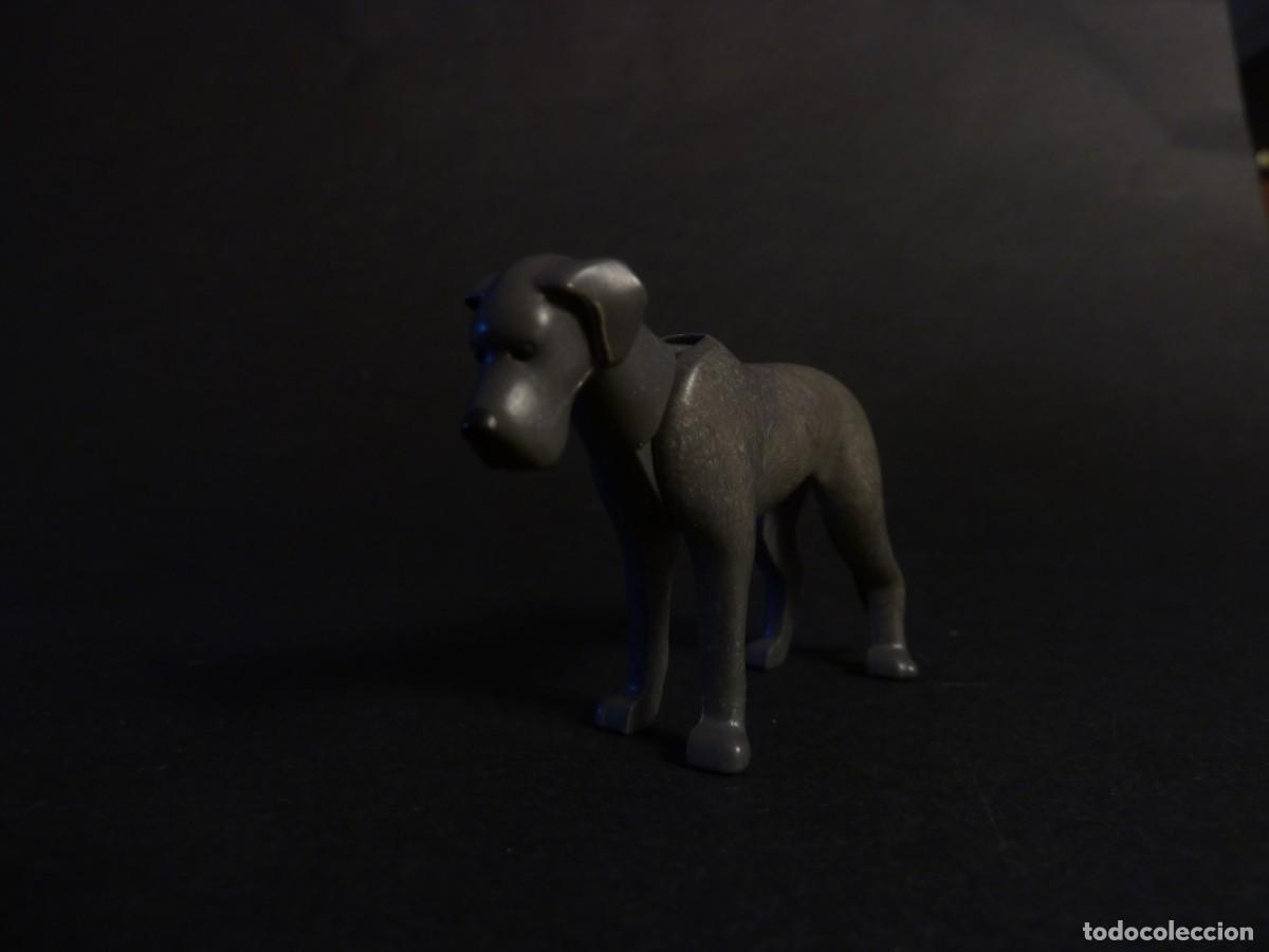 Playmobil: Gran Dan&eacute;s. Perro Playmobil - Foto 4