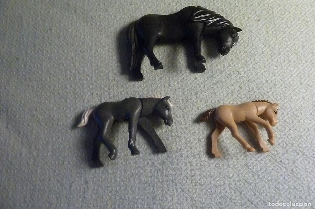 Playmobil: Lote caballitos. Playmobil - Foto 3