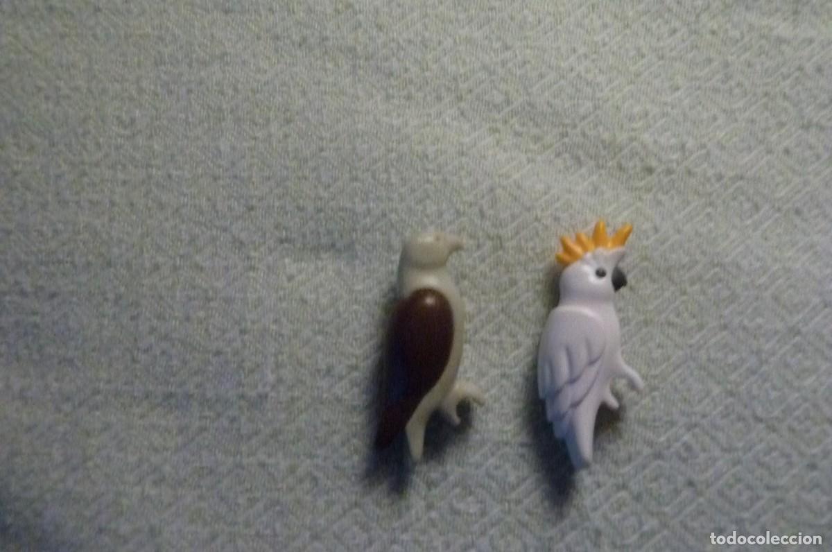 Playmobil: Halc&oacute;n y Cacat&uacute;a. Playmobil - Foto 2