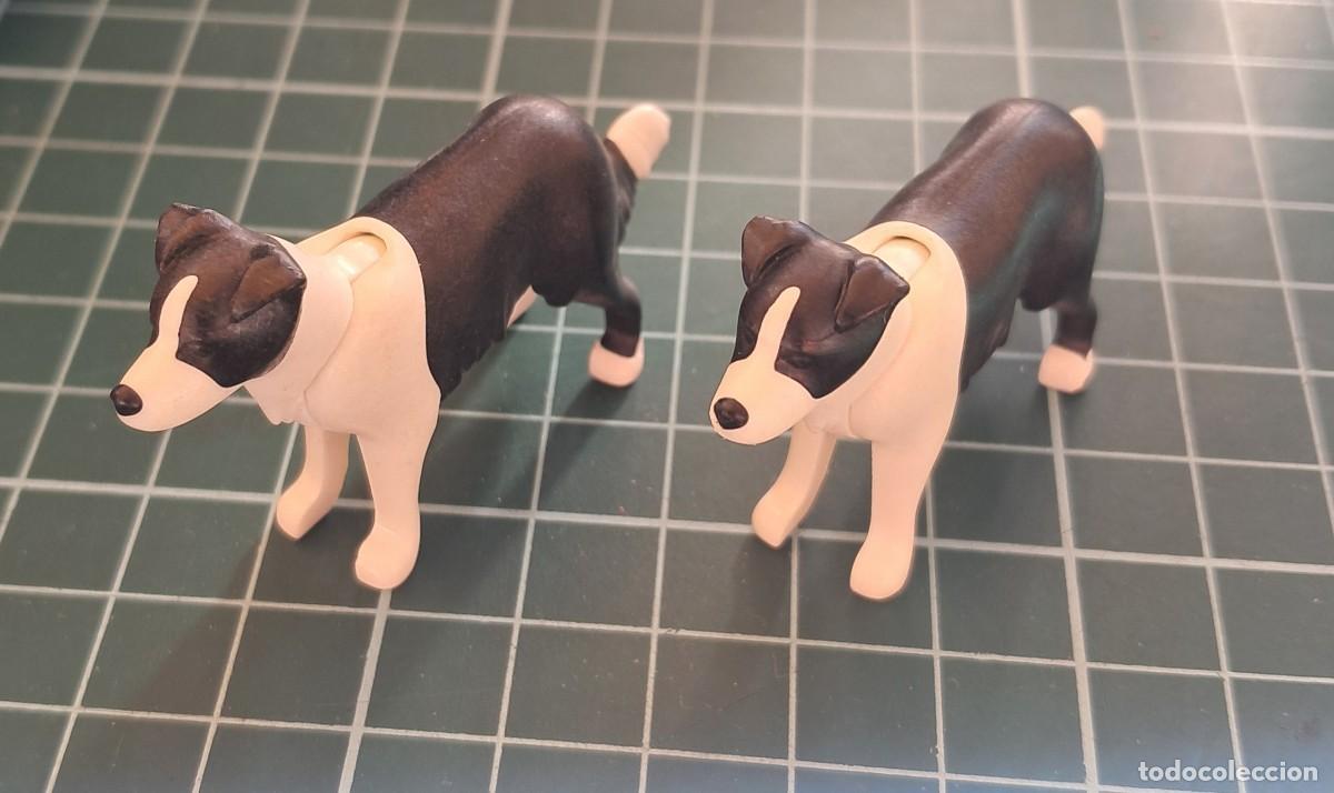 Playmobil: 2 perros playmobil border collie - Foto 1