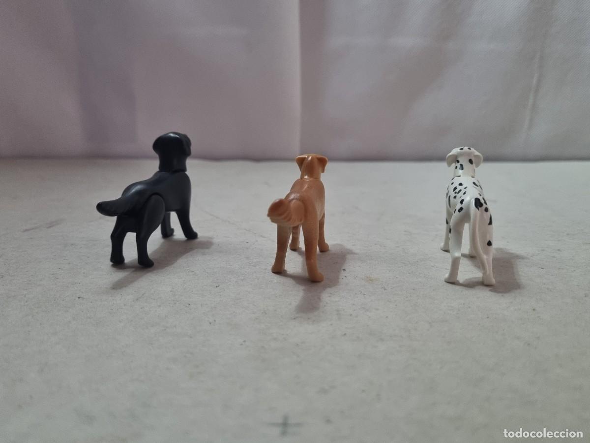 Playmobil: Lote de 3 perros playmobil - Foto 11