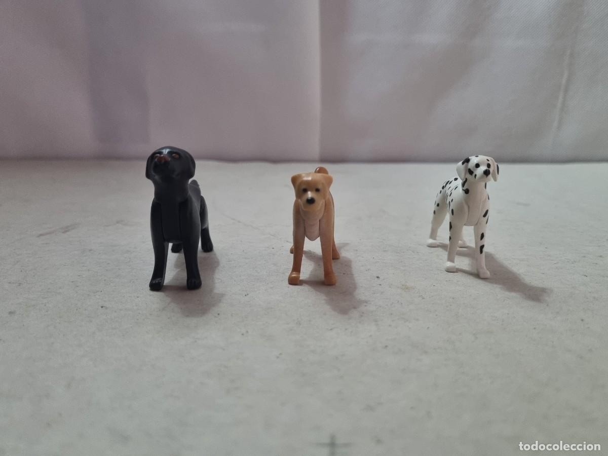 Playmobil: Lote de 3 perros playmobil - Foto 13