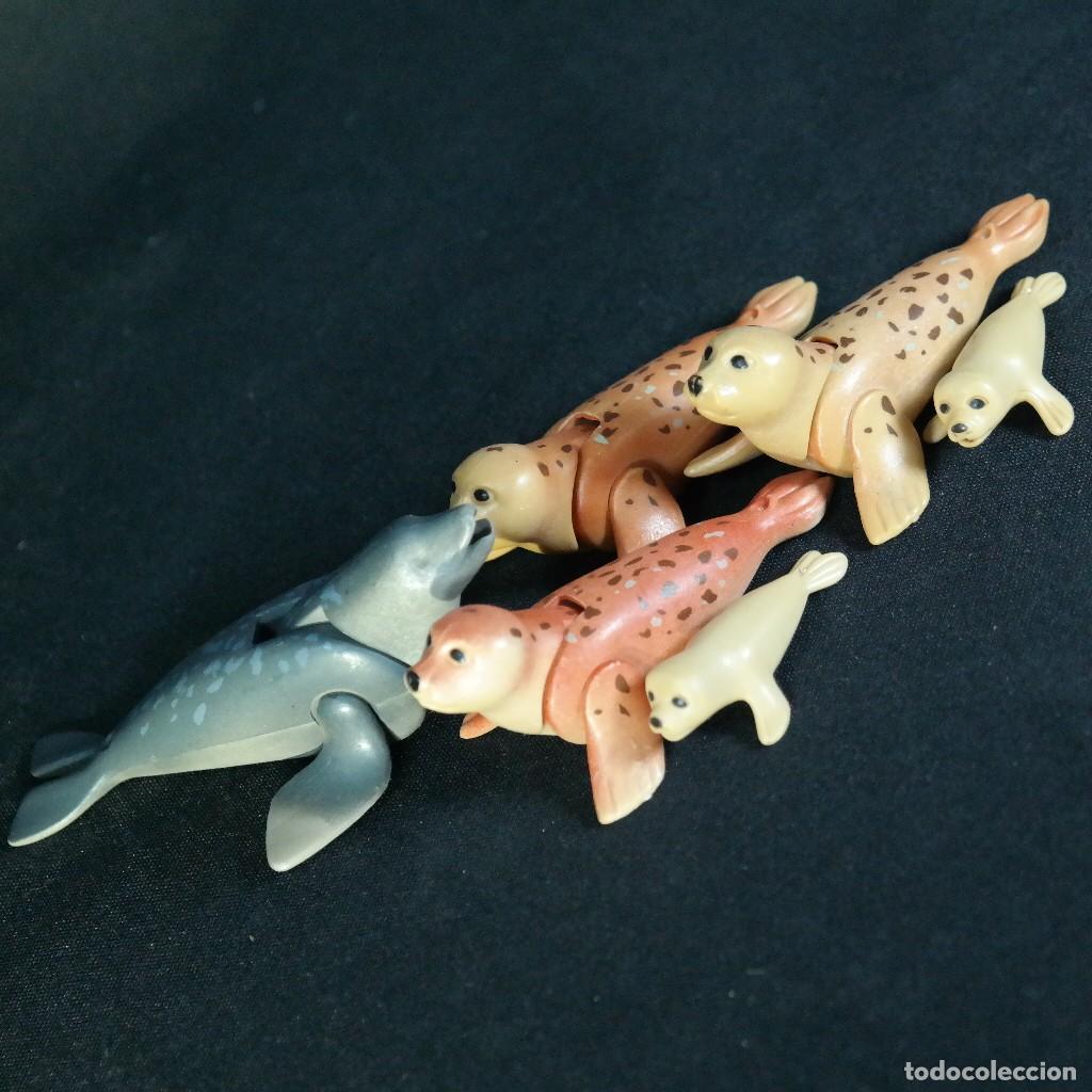 Playmobil: Playmobil muchas focas ☼