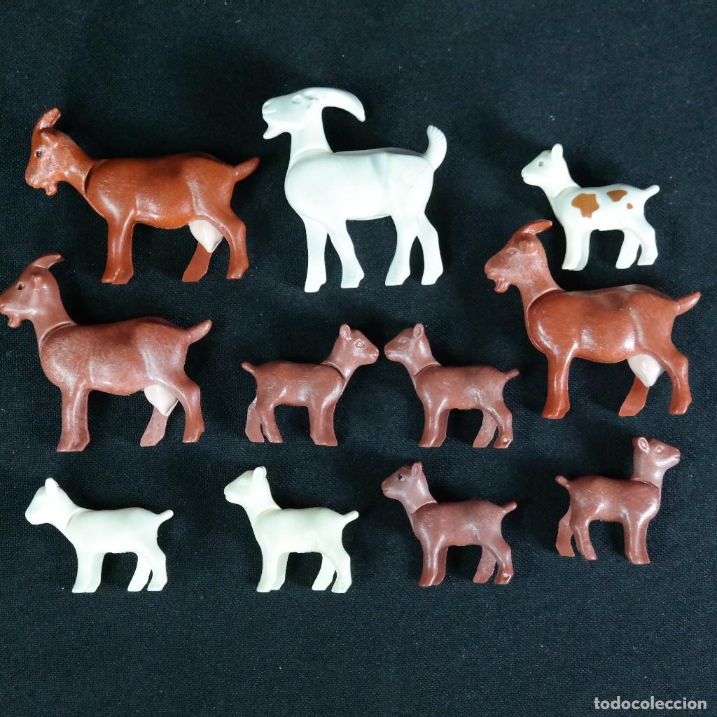 Playmobil: Playmobil muchas carbas ☼