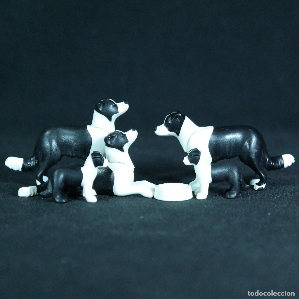 Playmobil: Playmobil perros Border Collie con crias ☼