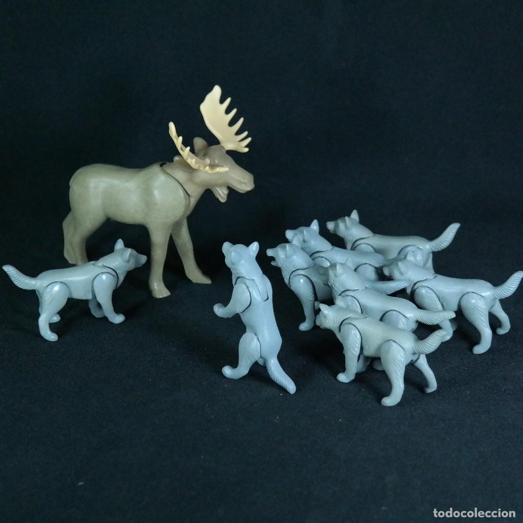 Playmobil: Playmobil alce con lobos ☼