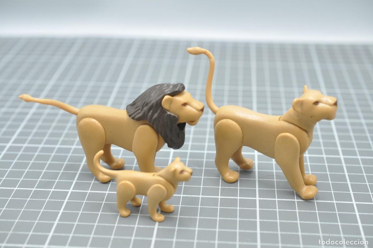 Playmobil: wsk055 Playmobil, 3 leones