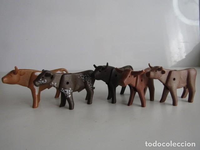 Playmobil: DIFICIL LOTE DE 5 RESES DEL OESTE VARIADAS CON CUERNITOS ROTOS PLAYMOBIL