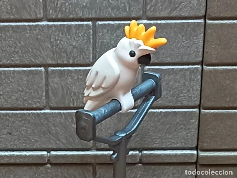 Playmobil: Cacatua Oeste Medieval Piratas Playmobil