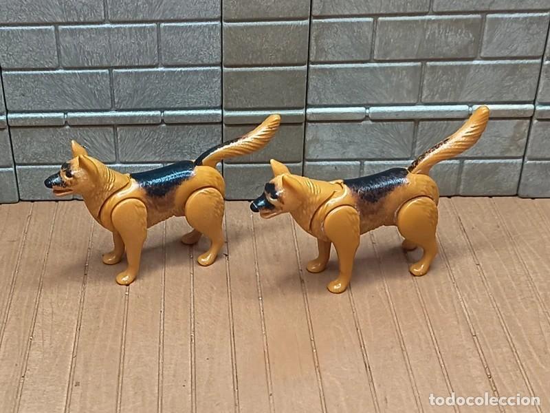 Playmobil: Perros Oeste Medieval Piratas Playmobil