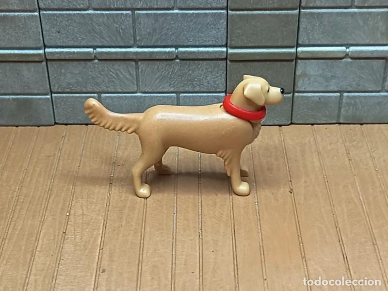 Playmobil: Perro Oeste Medieval Piratas Playmobil