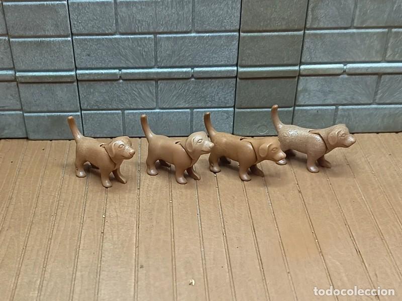 Playmobil: Perros Oeste Medieval Piratas Playmobil