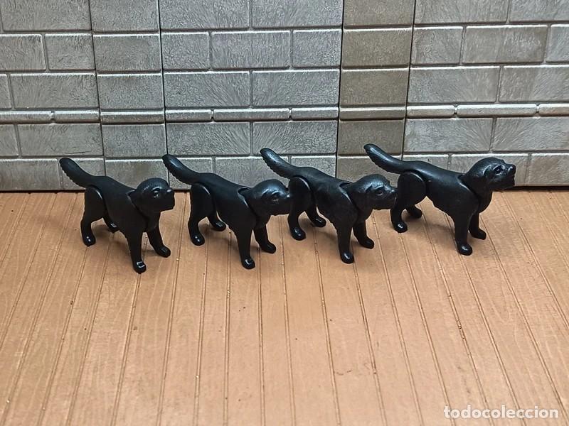 Playmobil: Perros Oeste Medieval Piratas Playmobil