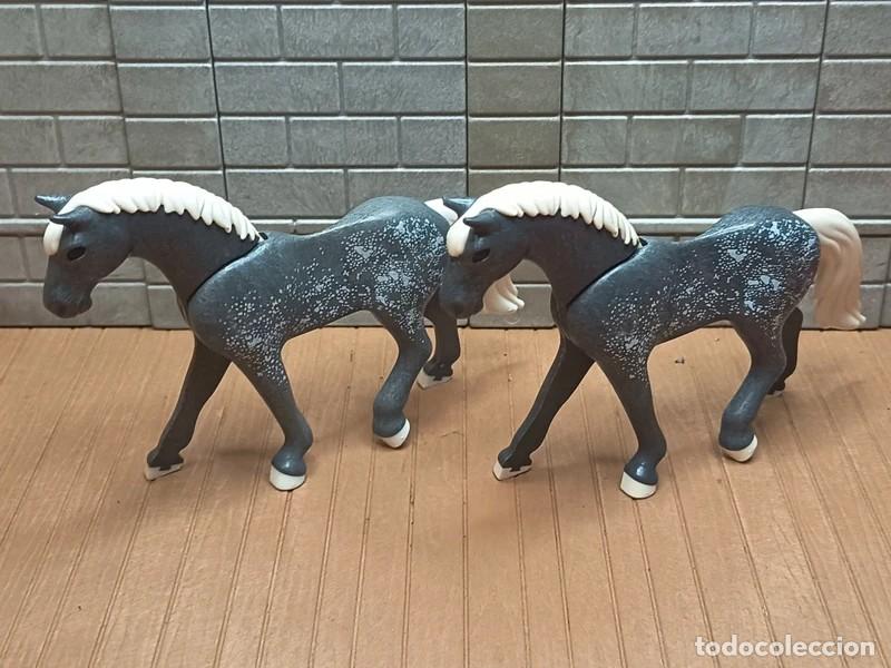 Playmobil: Caballos Oeste medieval Piratas Playmobil
