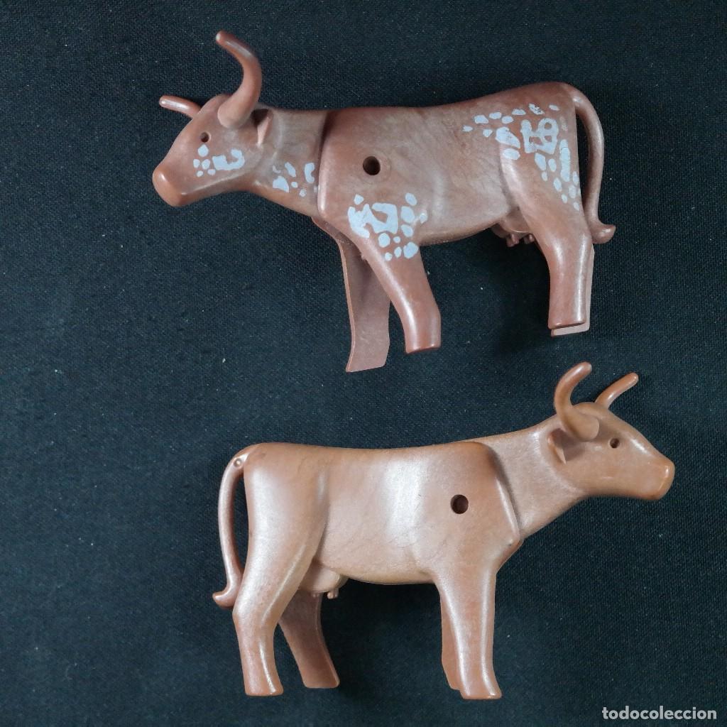 Playmobil: Playmobil 2 vacas con cuernos largos Longhorn ☼
