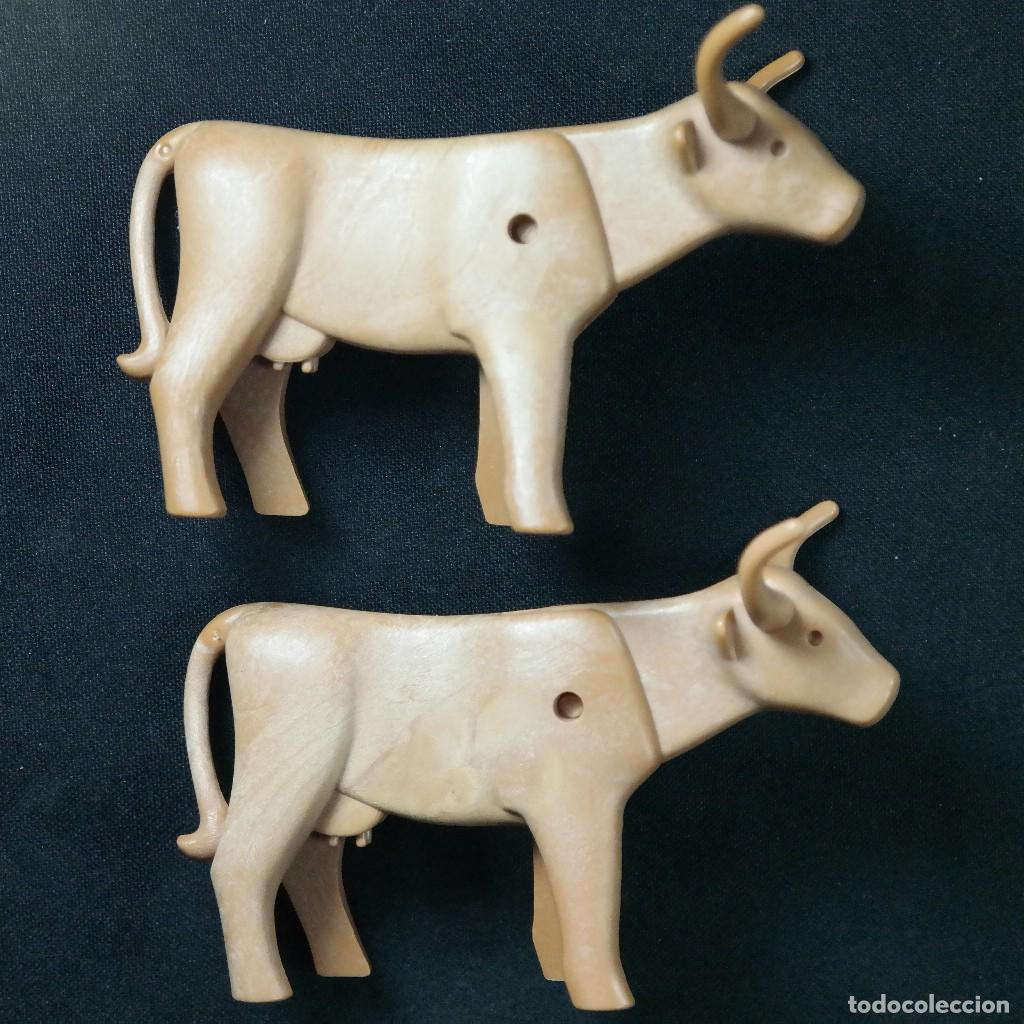Playmobil: Playmobil 2 vacas con cuernos largos Longhorn ☼