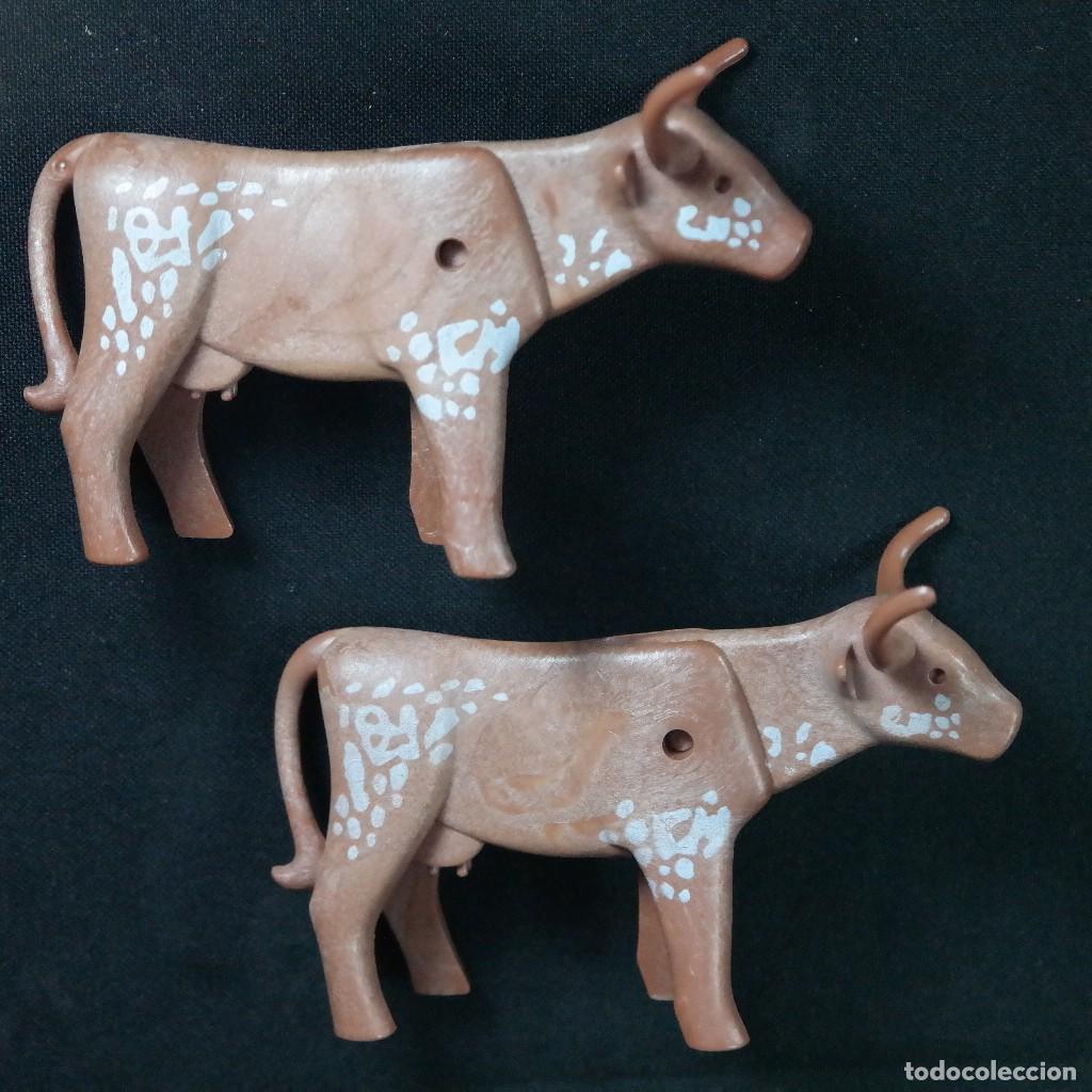 Playmobil: Playmobil 2 vacas con cuernos largos Longhorn marron liso ☼