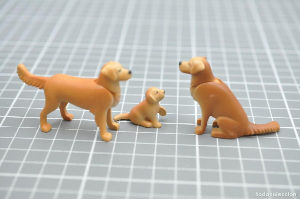 Playmobil: WSK068 PLAYMOBIL, 3 perros golden retriever