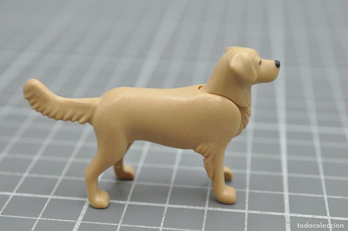 Playmobil: cj1011 Playmobil, perro golden retriever &iquest;70676, 71001?