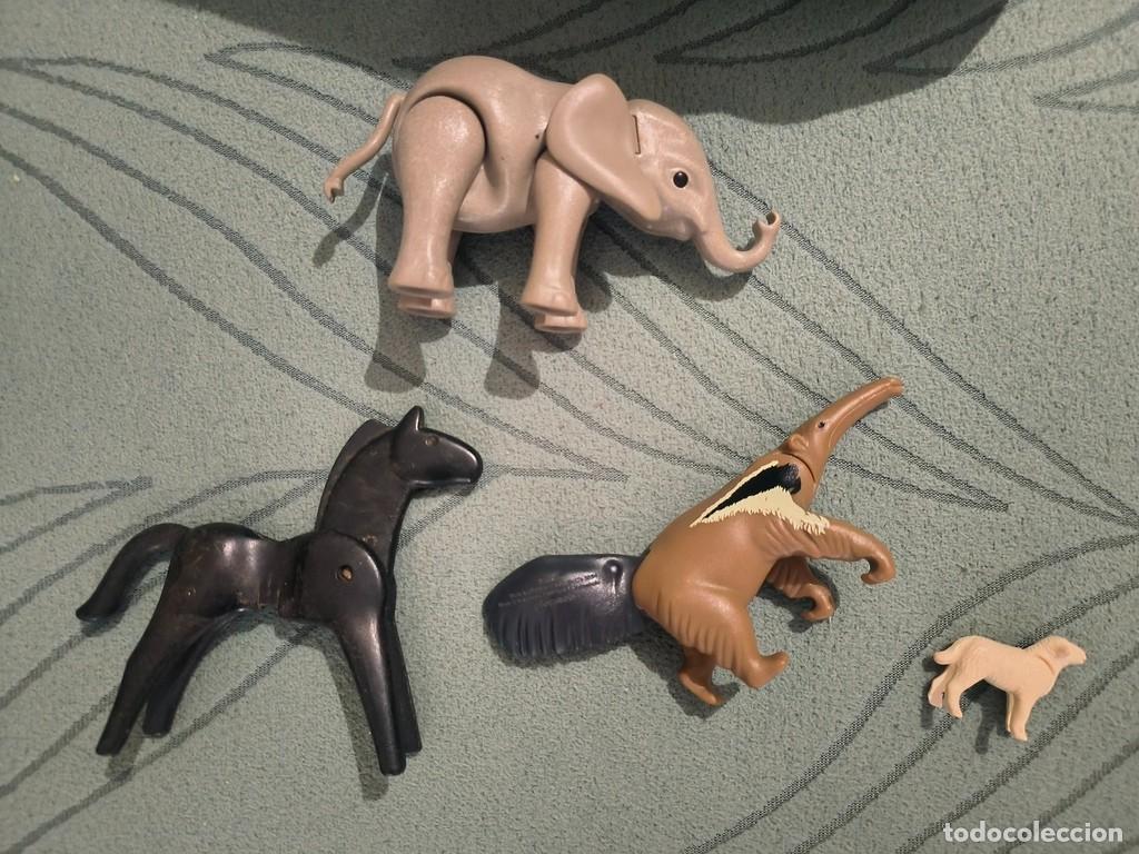 Playmobil: LOTE ANMALES PLAYMOBIL ELEFANTE OSO HORMIGUERO OVEJA CABALLO