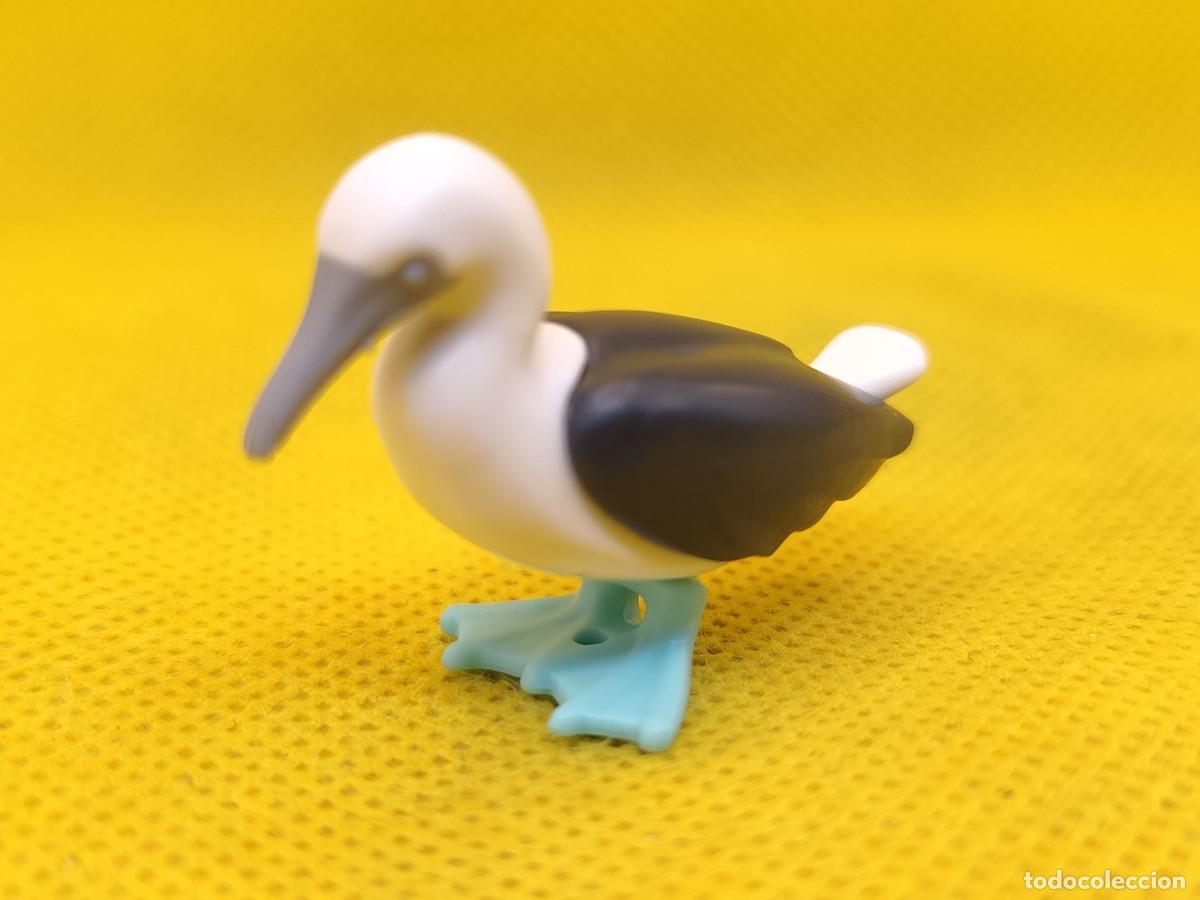 Playmobil: Playmobil Albatros, ave