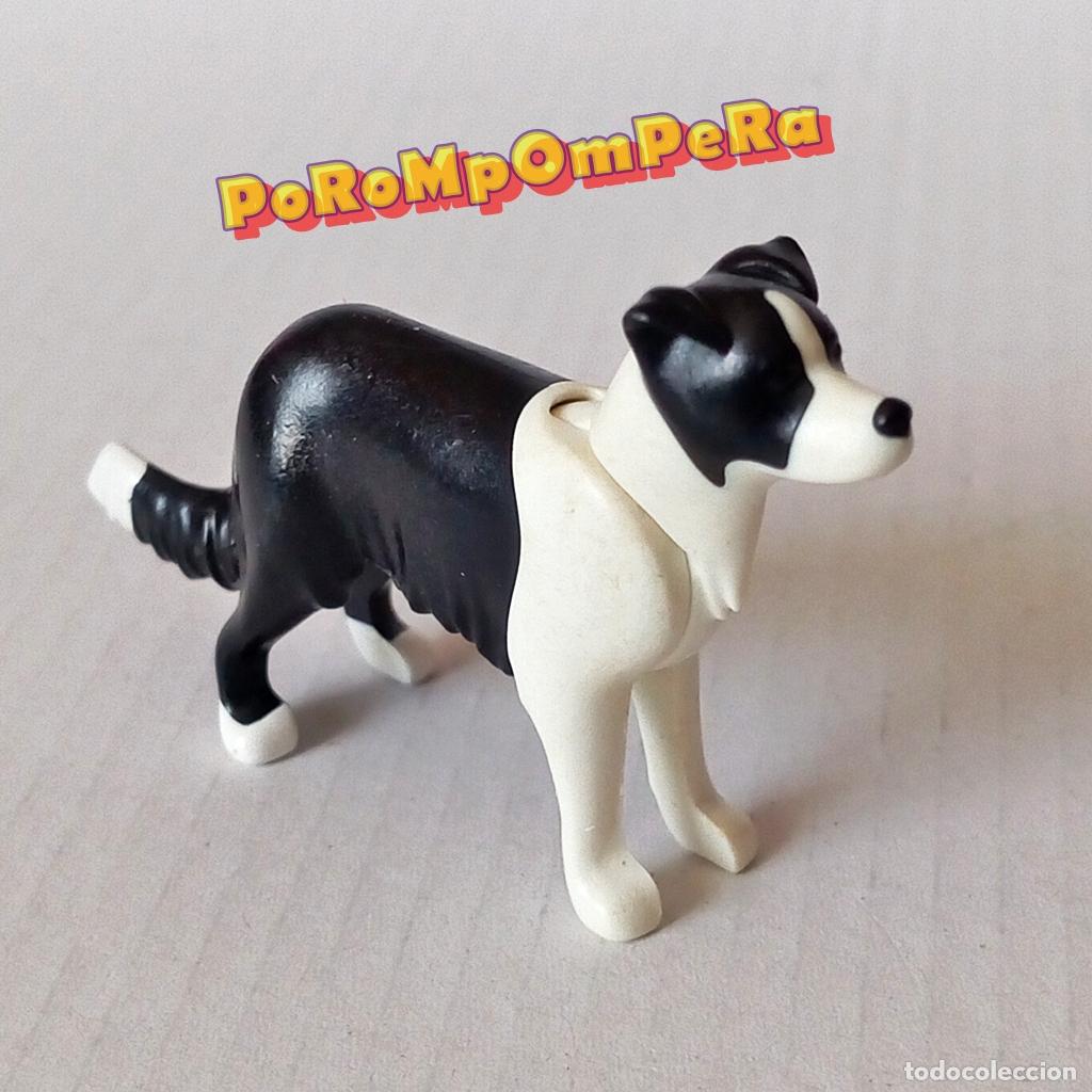 Playmobil: PLAYMOBIL PERRO BLANCO-NEGRO BORDER COLLIE 5213 5380 MASCOTA ANIMAL DE COMPA&Ntilde;&Iacute;A T5