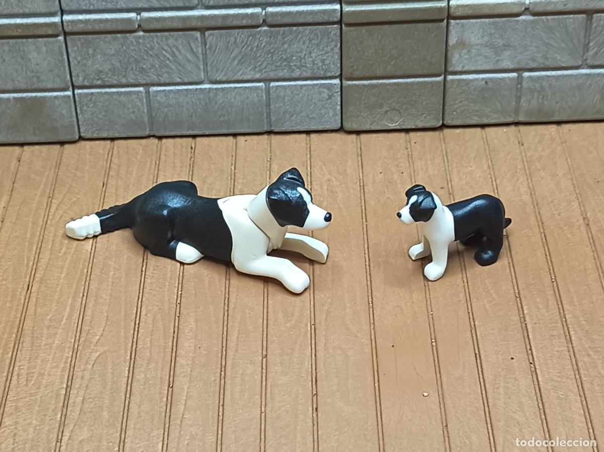 Playmobil: Perros Oeste Medieval Piratas Playmobil