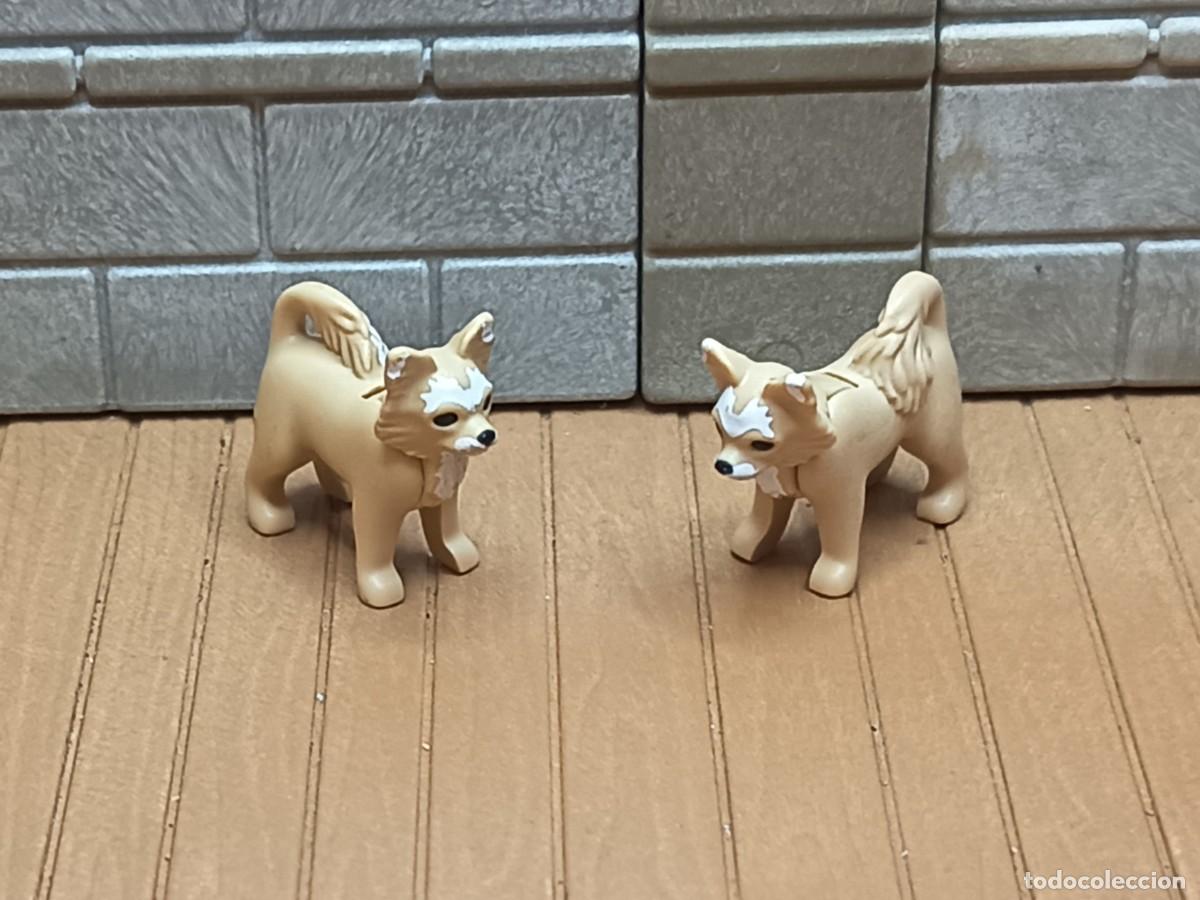 Playmobil: Perros Oeste Medieval Piratas Playmobil