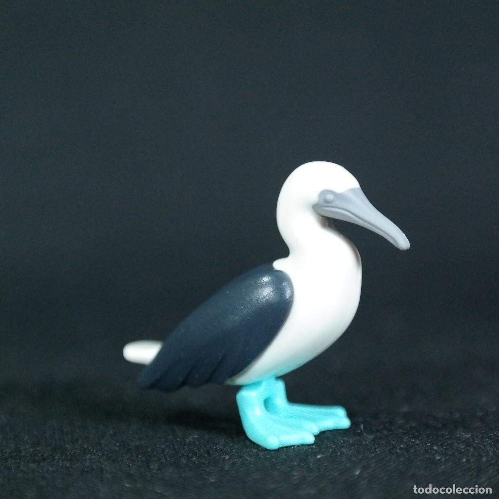 Playmobil: Playmobil pajaro bobo de patas azules ☼