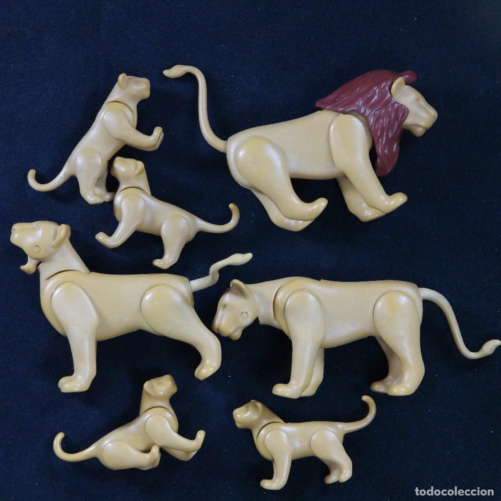 Playmobil: Playmobil leones con crias ☼