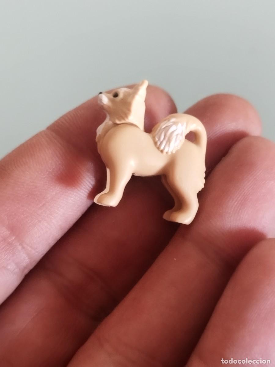 Playmobil: Figura Playmobil. Perro Chihuahua de color beige y blanco.