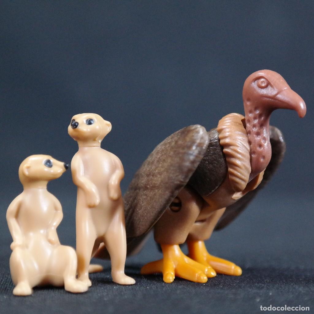 Playmobil: Playmobil suricatas con buitre ☼