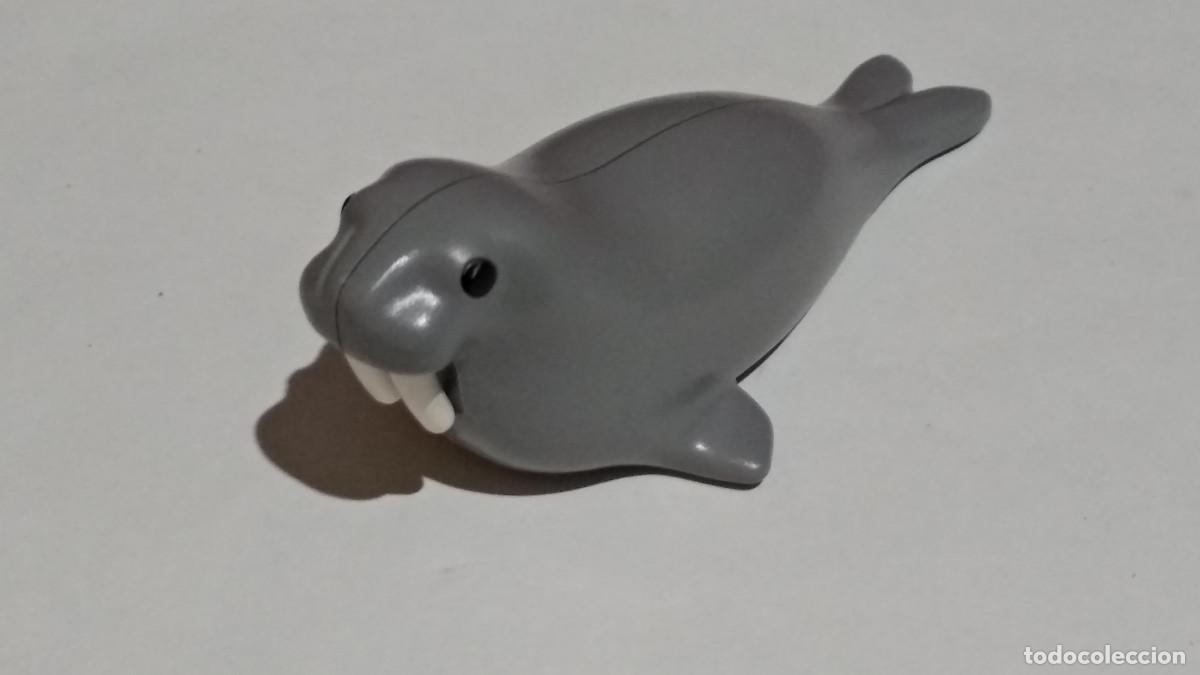 Playmobil: PLAYMOBIL 1 2 3 MORSA ANIMAL MARINO ZOO, PARQUE, 123