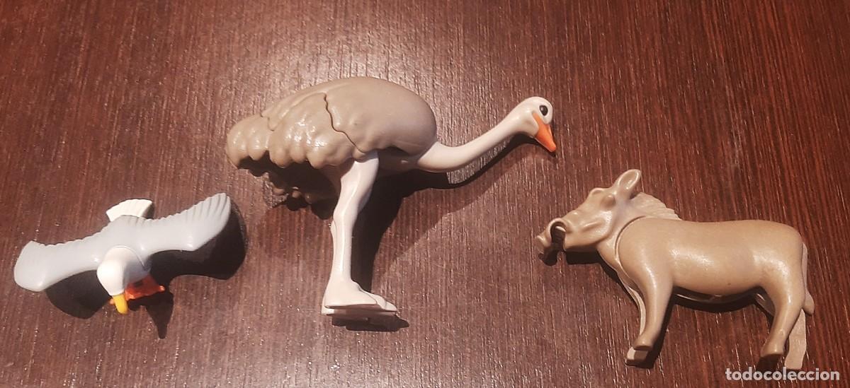 Playmobil: LOTE PLAYMOBIL - ANIMALES SAFARI O SABANA AFRICANA - AVESTRUZ - FACOQUERO - AGUILA O AVE RAPAZ