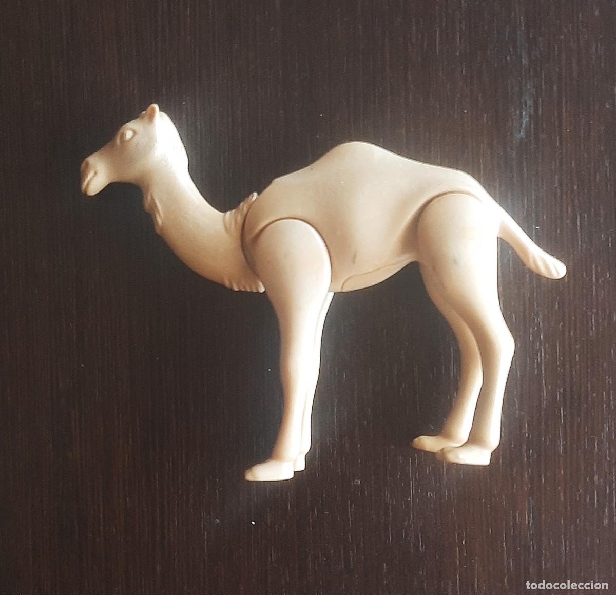 Playmobil: PLAYMOBIL - CAMELLO - wsk083