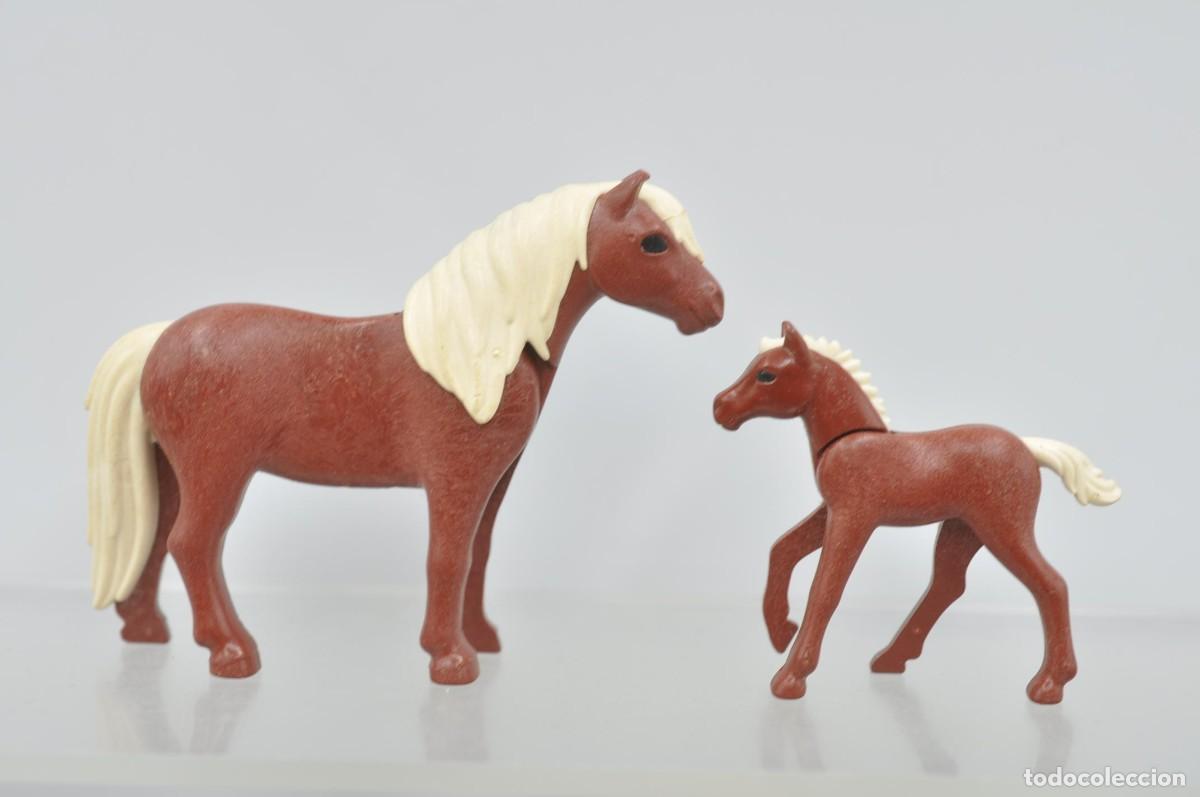 Playmobil: wsk099 Playmobil, poni i potro